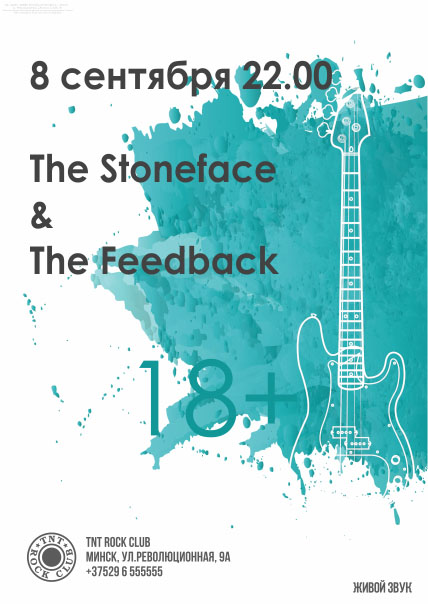 The Stoneface / The Feedback