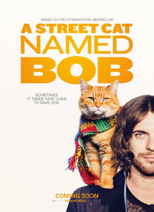 Уличный кот по имени Боб, биография